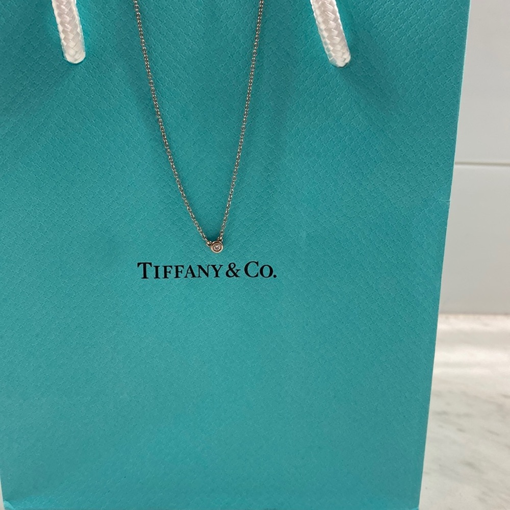 Authentic Tiffany & Co. Diamond by the Yard single diamond pendant. 16” Silver